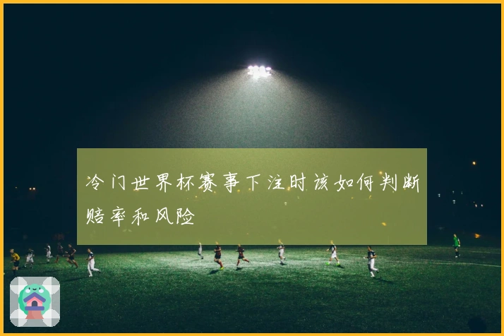 冷门世界杯赛事下注时该如何判断赔率和风险