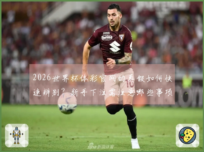 2026世界杯体彩官网的真假如何快速辨别？新手下注需注意哪些事项？