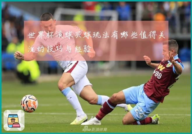 世界杯滚球买球玩法有哪些值得关注的技巧与经验