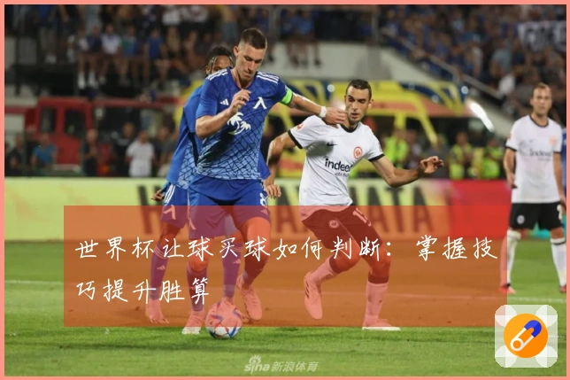 世界杯让球买球如何判断：掌握技巧提升胜算