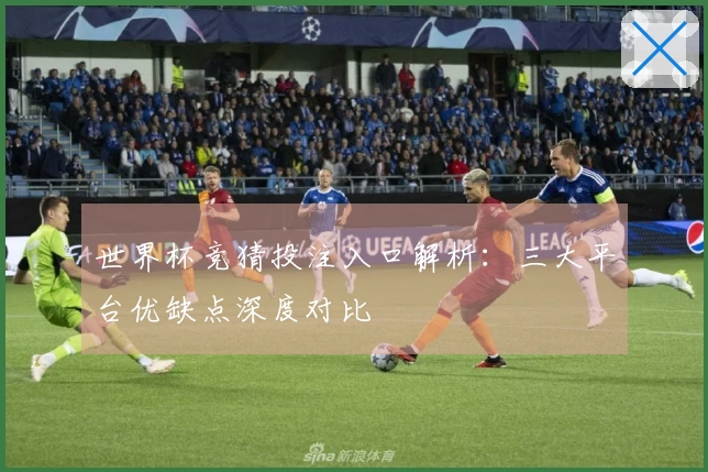 世界杯竞猜投注入口解析：三大平台优缺点深度对比
