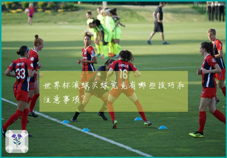 世界杯滚球买球究竟有哪些技巧和注意事项？