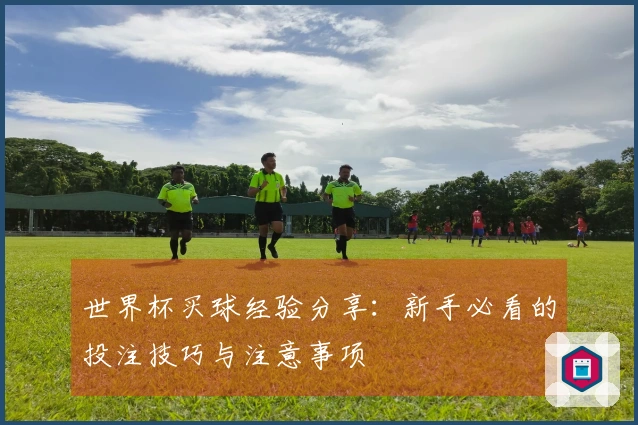 世界杯买球经验分享：新手必看的投注技巧与注意事项
