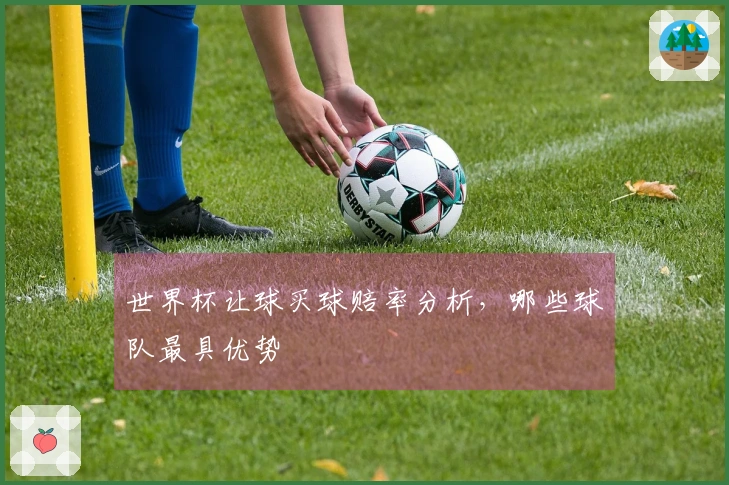 世界杯让球买球赔率分析,哪些球队最具优势