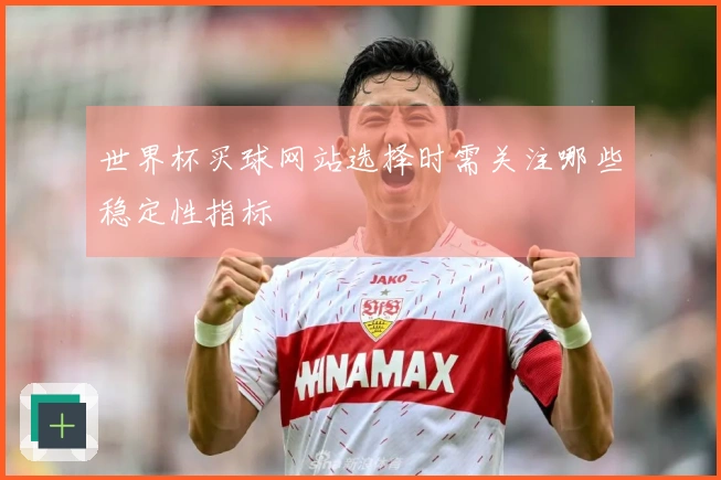 世界杯买球网站选择时需关注哪些稳定性指标