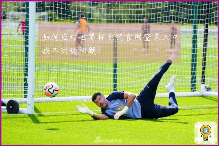 如何应对世界杯竞猜官网登录入口找不到的问题？