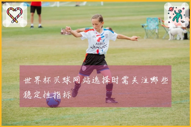 世界杯买球网站选择时需关注哪些稳定性指标
