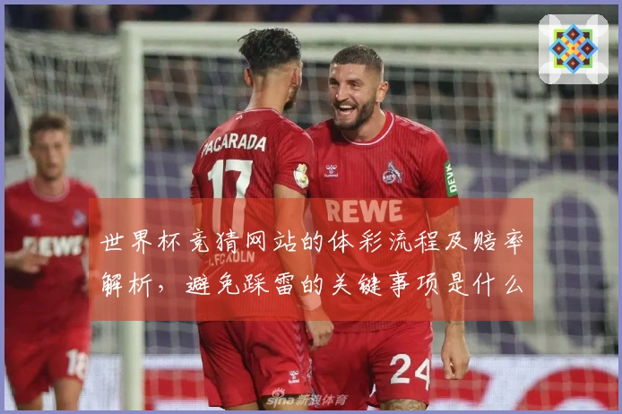世界杯竞猜网站的体彩流程及赔率解析，避免踩雷的关键事项是什么