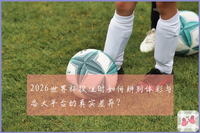 2026世界杯投注时如何辨别体彩与各大平台的真实差异？