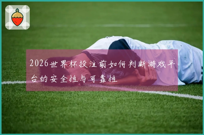 2026世界杯投注前如何判断游戏平台的安全性与可靠性