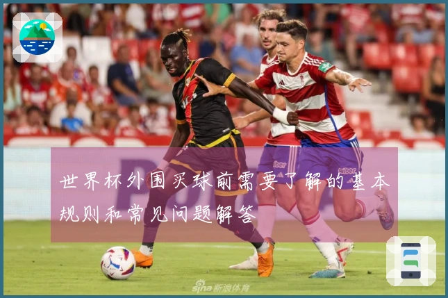世界杯外围买球前需要了解的基本规则和常见问题解答