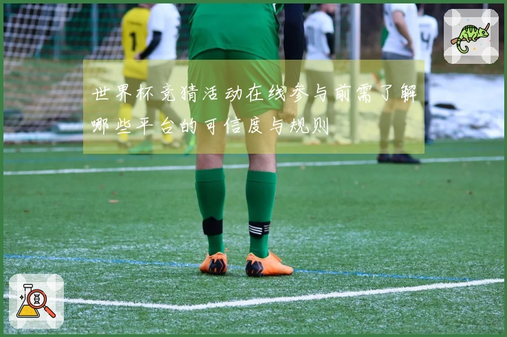 世界杯竞猜活动在线参与前需了解哪些平台的可信度与规则
