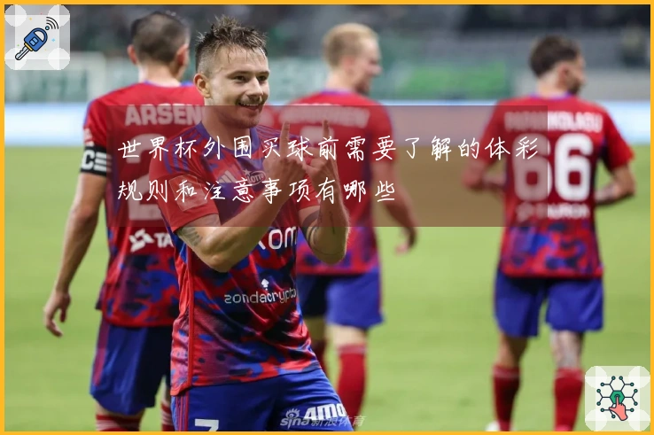 世界杯外围买球前需要了解的体彩规则和注意事项有哪些