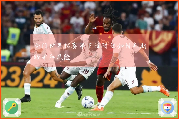 冷门世界杯赛事下注时该如何判断赔率和风险