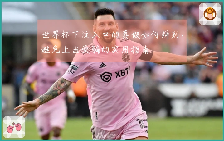 世界杯下注入口的真假如何辨别，避免上当受骗的实用指南