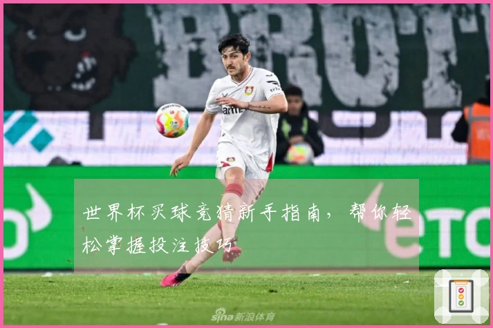 世界杯买球竞猜新手指南，帮你轻松掌握投注技巧
