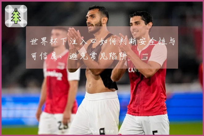 世界杯下注入口如何判断安全性与可信度，避免常见陷阱