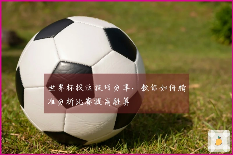 世界杯投注技巧分享,教你如何精准分析比赛提高胜算