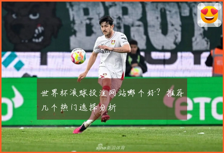 世界杯滚球投注网站哪个好？推荐几个热门选择分析