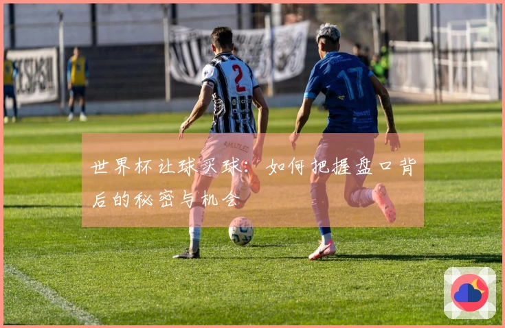 世界杯让球买球：如何把握盘口背后的秘密与机会