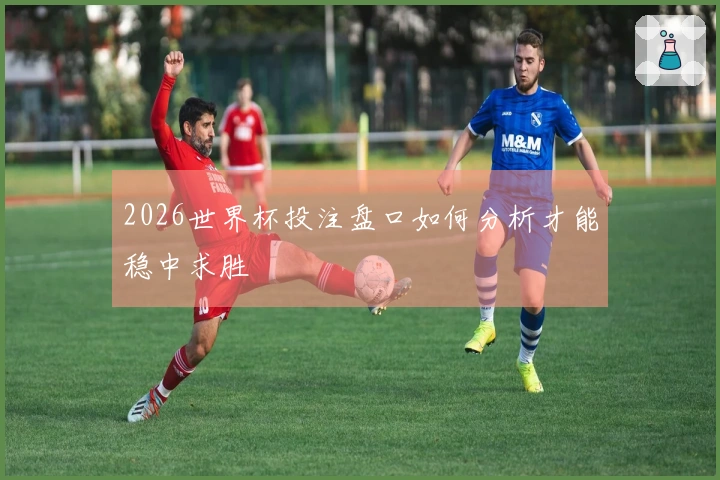 2026世界杯投注盘口如何分析才能稳中求胜
