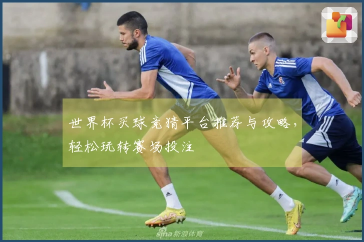 世界杯买球竞猜平台推荐与攻略，轻松玩转赛场投注