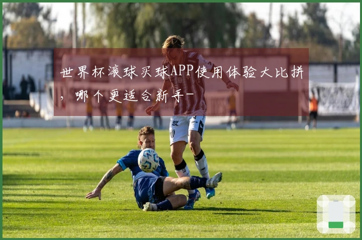 世界杯滚球买球APP使用体验大比拼,哪个更适合新手-