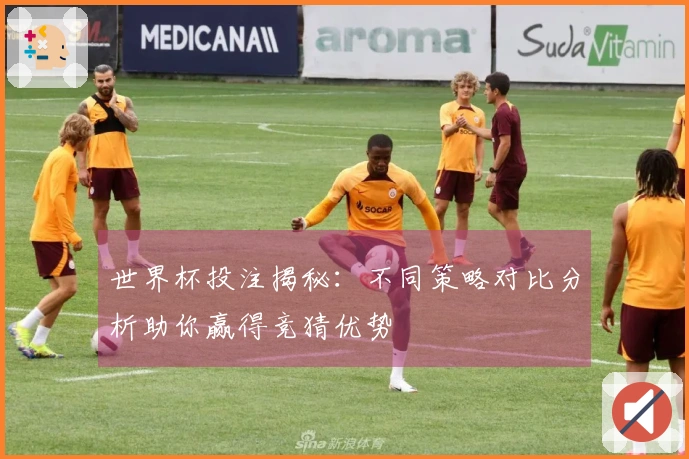 世界杯投注揭秘：不同策略对比分析助你赢得竞猜优势