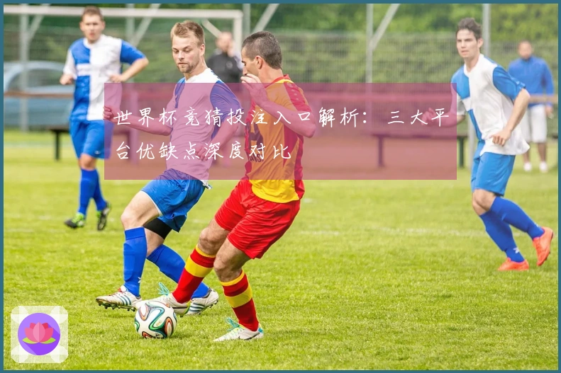 世界杯竞猜投注入口解析：三大平台优缺点深度对比