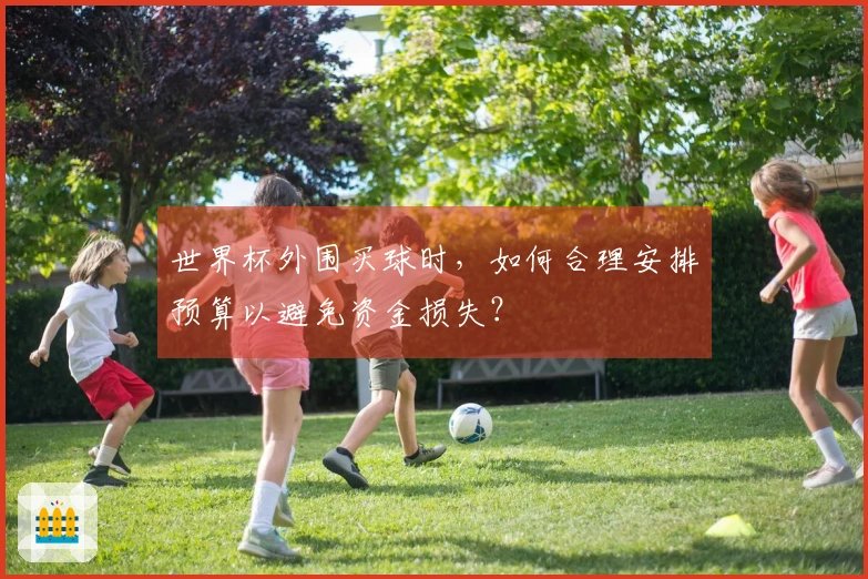世界杯外围买球时，如何合理安排预算以避免资金损失？