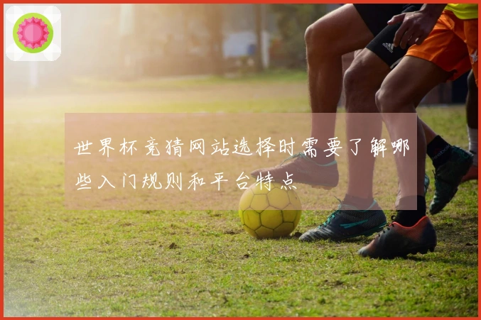 世界杯竞猜网站选择时需要了解哪些入门规则和平台特点