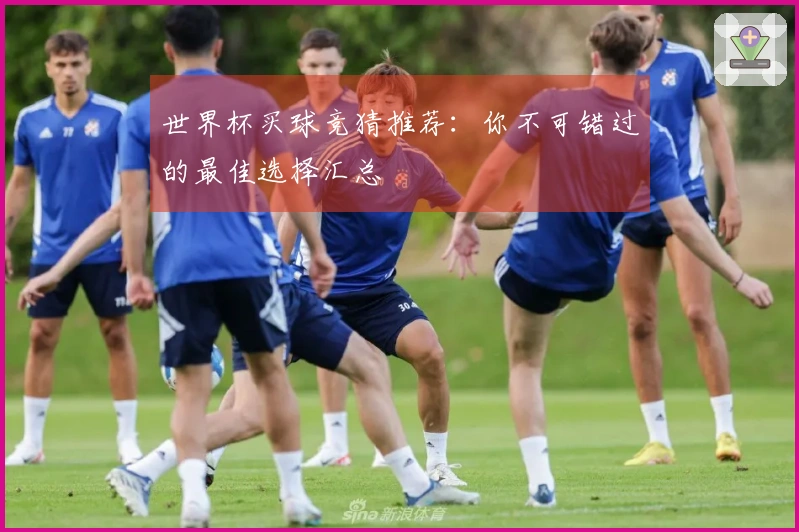 世界杯买球竞猜推荐：你不可错过的最佳选择汇总