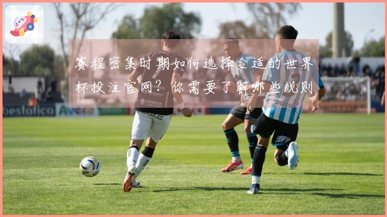 赛程密集时期如何选择合适的世界杯投注官网?你需要了解哪些规则与注意事项